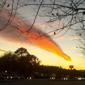 Meet your Posher, Louise